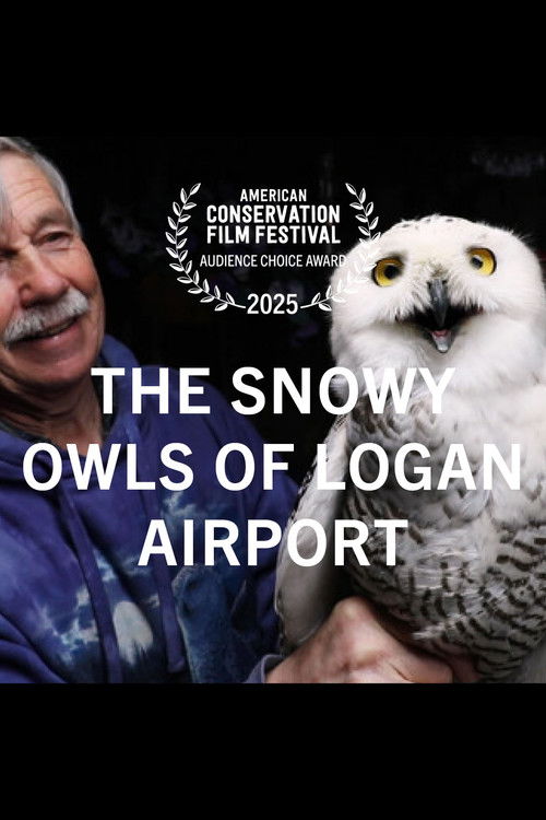 The Snowy Owls of Logan Airport Poster
