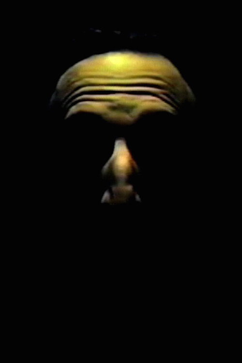 Digital Speech Poster