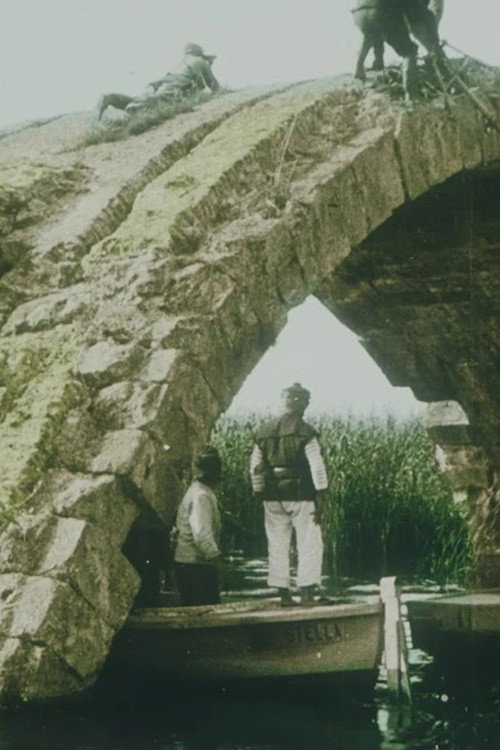 Glimpses in Colour from the Whole World - In the Gorse of Vadar Poster