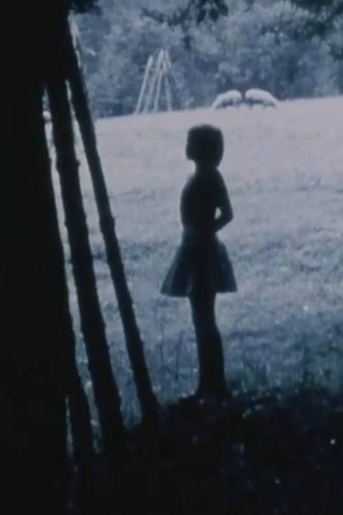 Passing Through/Torn Formations Poster