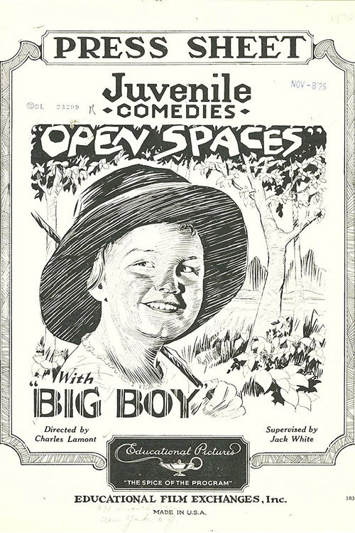 Open Spaces Poster
