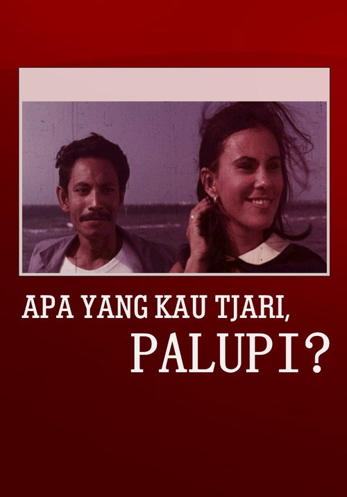 What Are You Looking For, Palupi? Poster