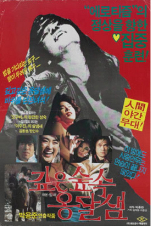 Spring in the Deep Mountain Poster