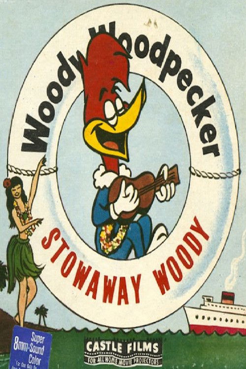Stowaway Woody Poster