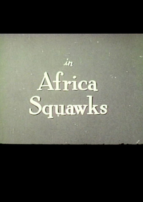 Africa Squawks Poster