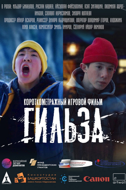 Гильза Poster
