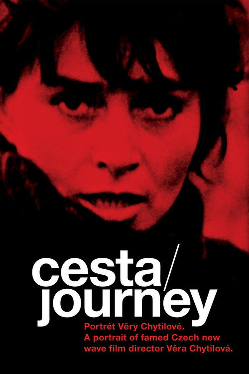 Journey: Portrait of Věra Chytilová Poster