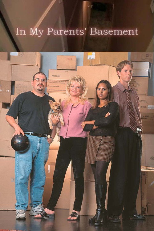 In My Parents' Basement Poster