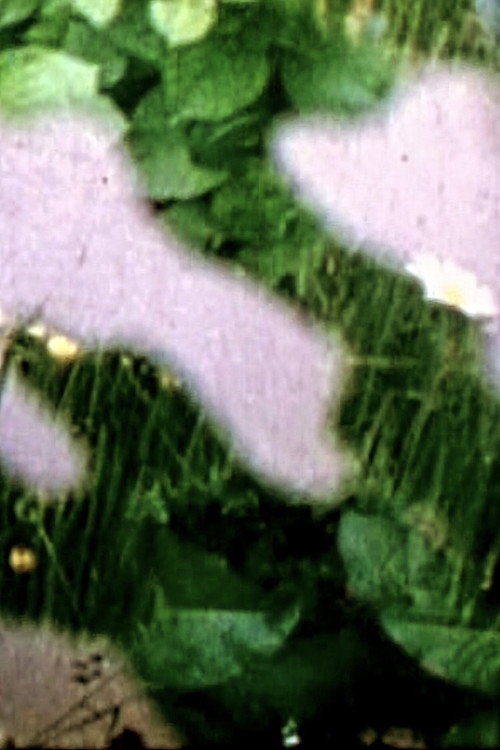 Topografie Poster