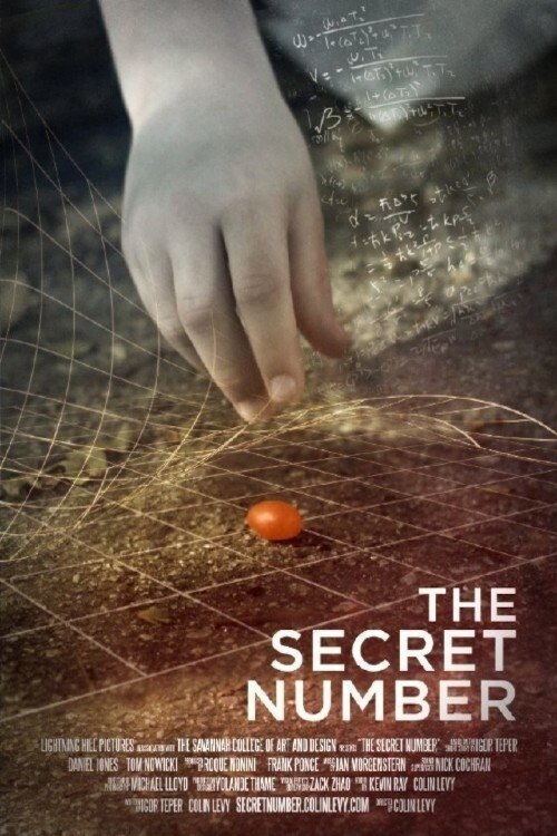 The Secret Number Poster