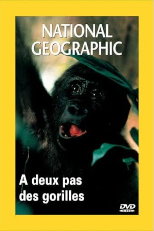 Living With Gorillas Poster