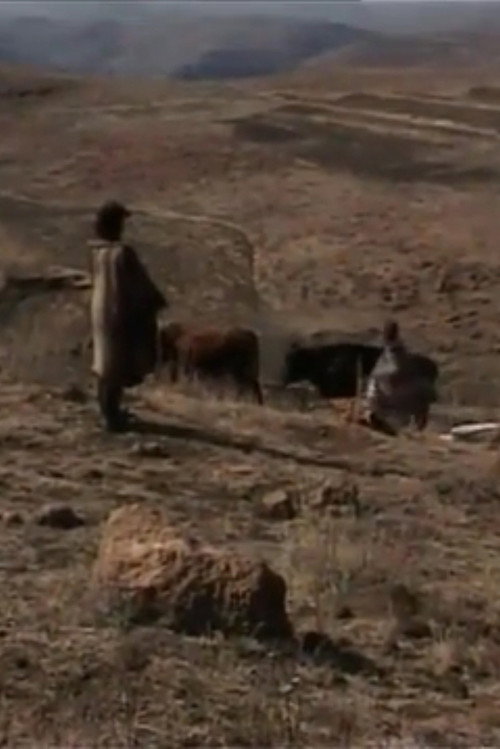 The Ragged Ones Poster