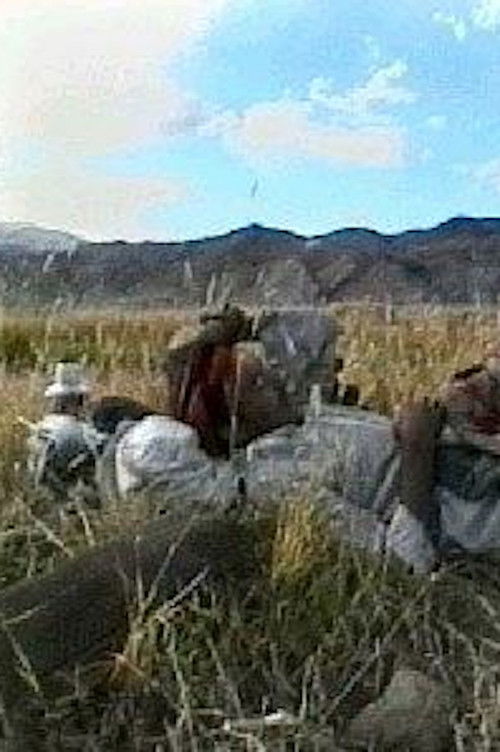 Gongbu’s Happy Life Poster