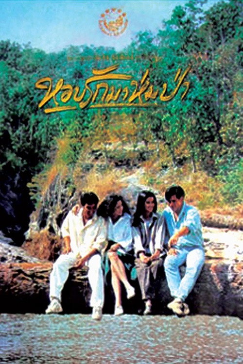 Forest In Love Poster