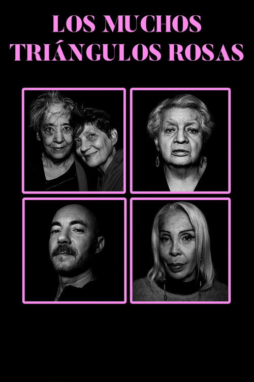 The Many Pink Triangles Poster