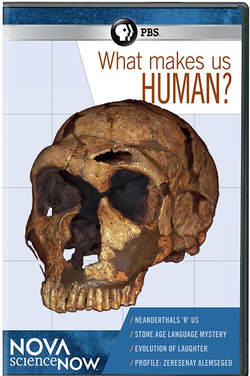 What Makes Us Human? Poster