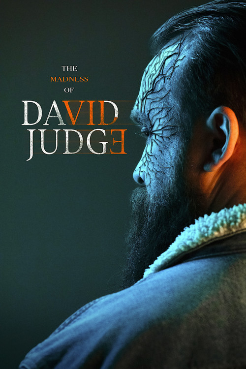 The Madness of David Judge Poster