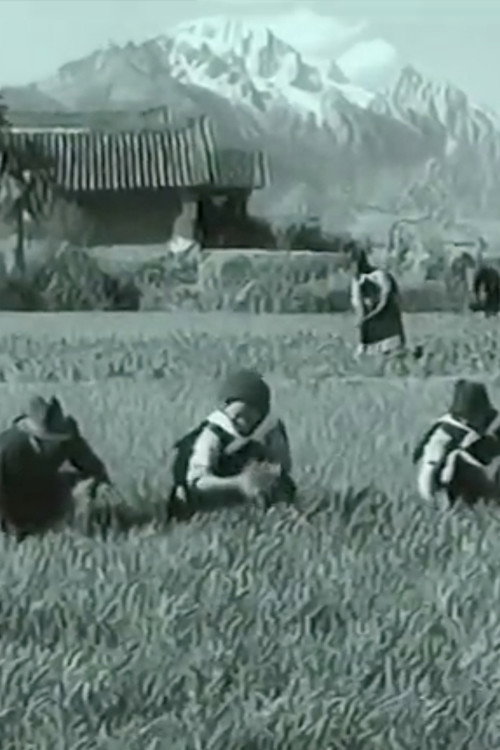 Naxi Art and Culture in Lijiang Poster