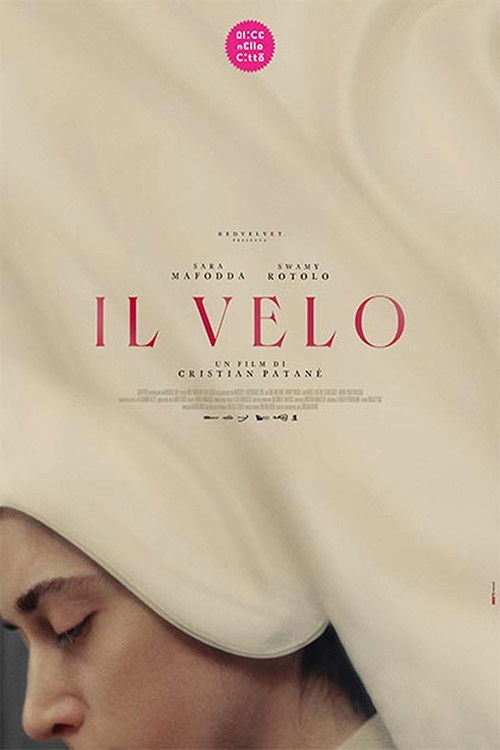 The Veil Poster