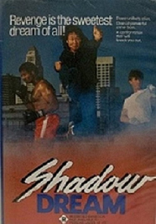 Shadow Dream Poster