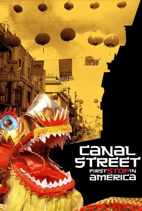 Canal Street: First Stop in America Poster