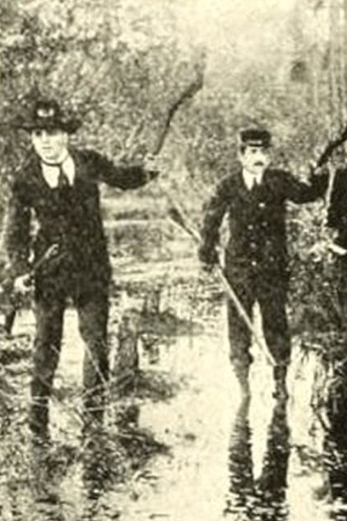 Love's Miracle Poster