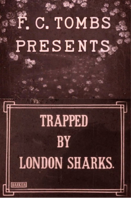 Trapped by London Sharks Poster
