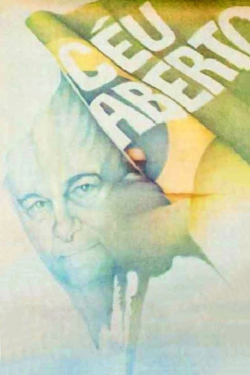 Open Skies Poster