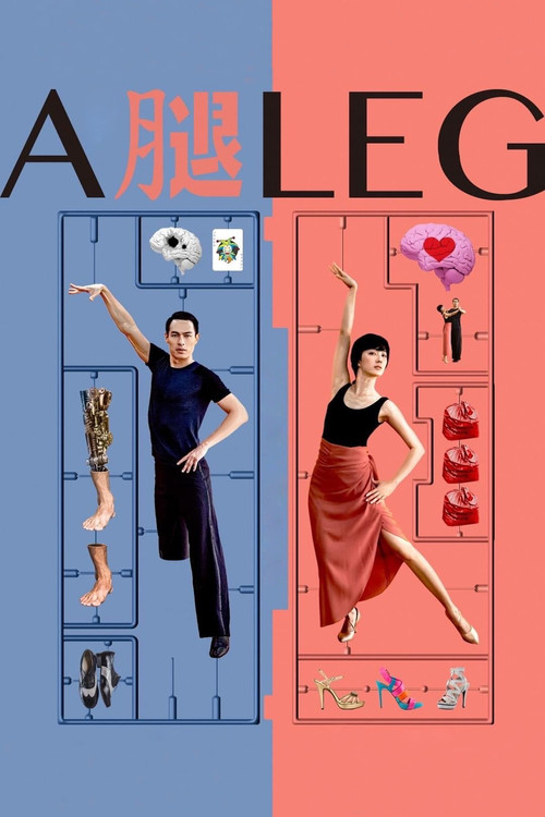 A Leg Poster