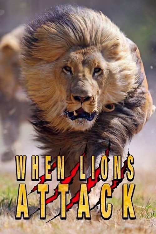 When Lions Attack Poster