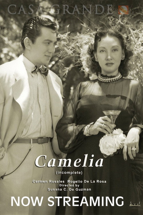 Camelia Poster