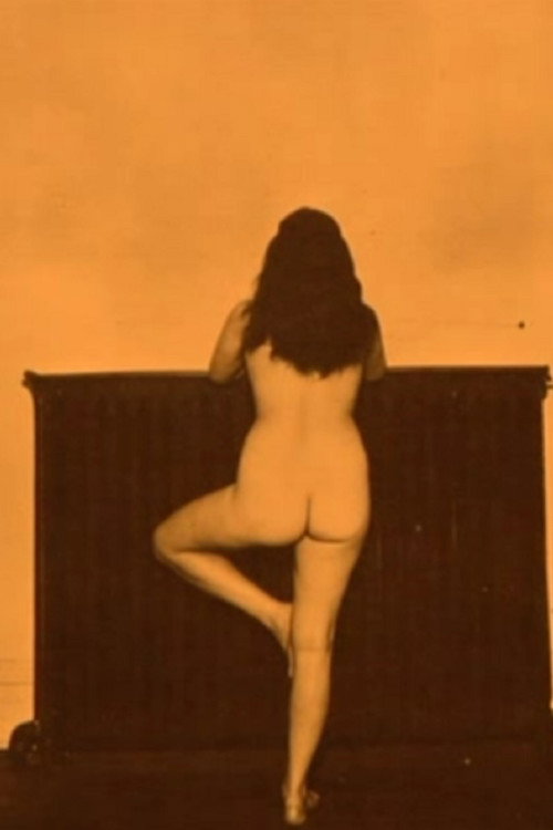 Dialogues, or A Waist Is a Terrible Thing to Mind Poster