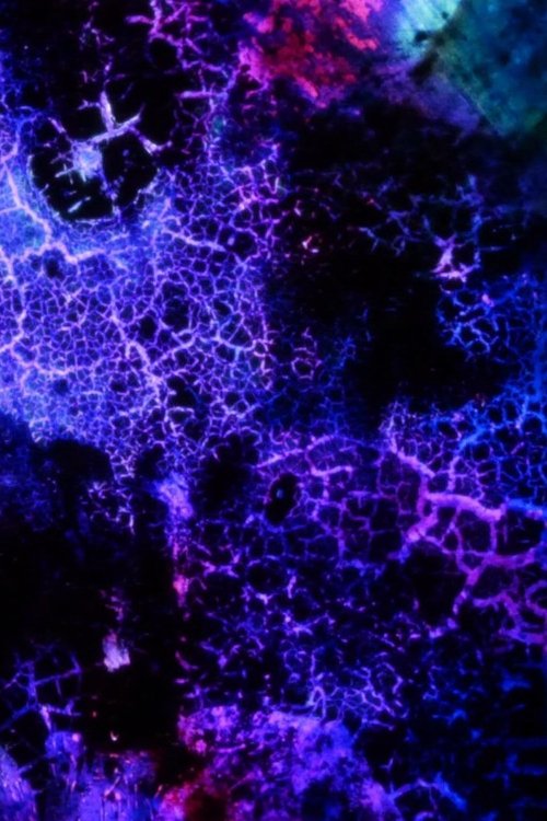 Elementary Phrases Poster