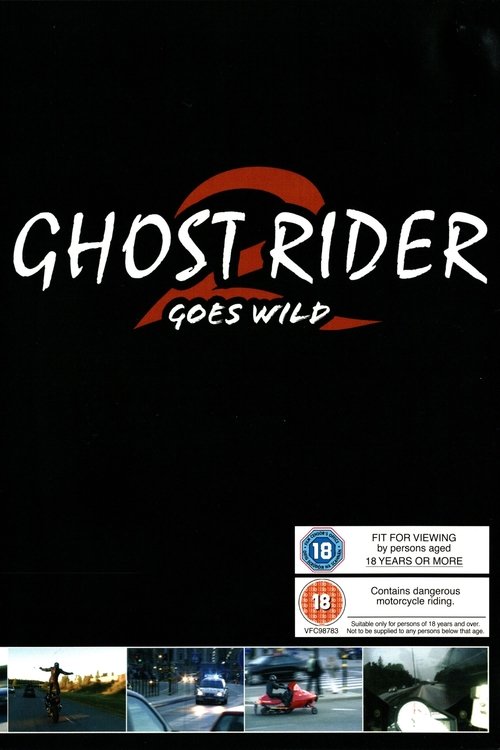Ghost Rider 2 Goes Wild Poster