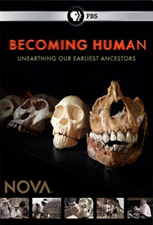 Becoming Human Poster