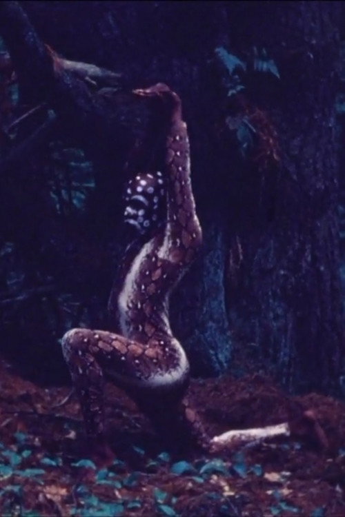 Snake Dance Teacher Dance Poster