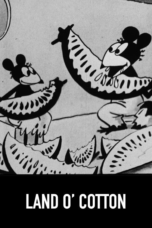 Land o' Cotton Poster