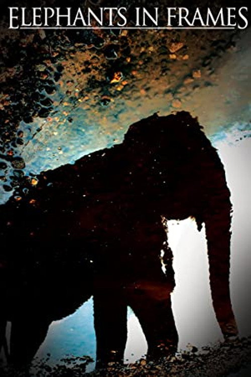 Elephant Power Poster