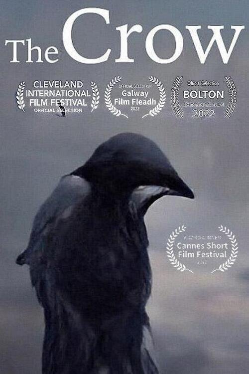 The Crow Poster
