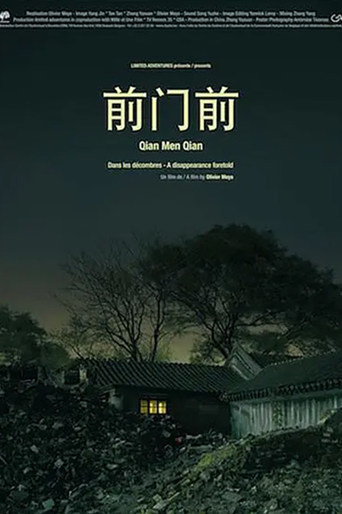 A Disappearance Foretold Poster