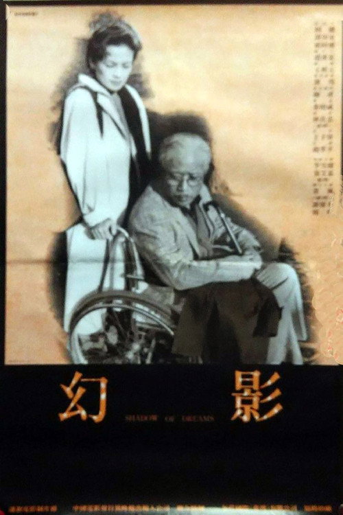 Shadow of Dream Poster