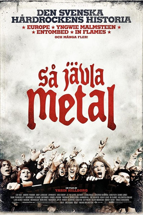 Så jävla metal Poster
