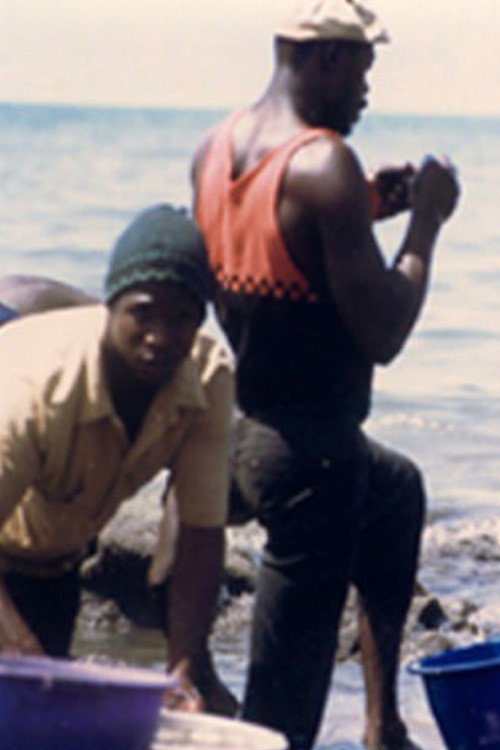 Les chutes de Ngalam Poster