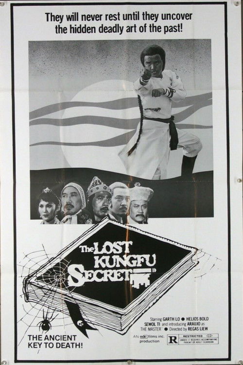 The Lost Kung Fu Secrets Poster