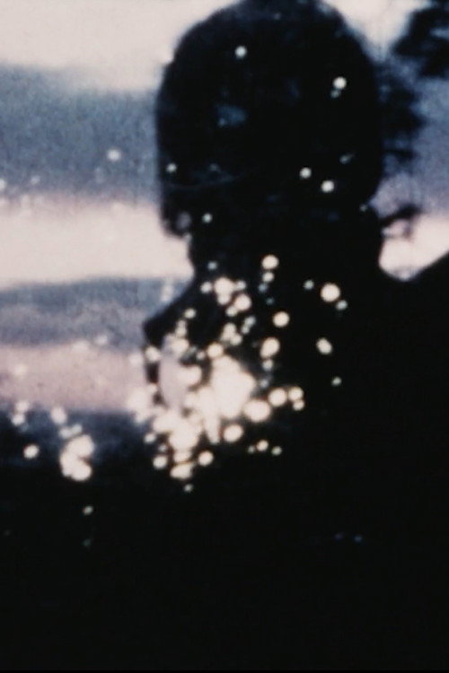 Films by Bob Branaman Poster