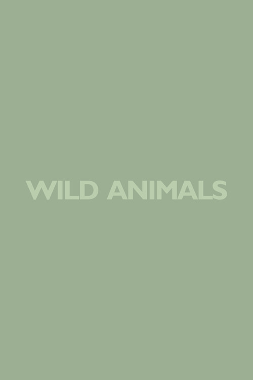 Wild Animals Poster
