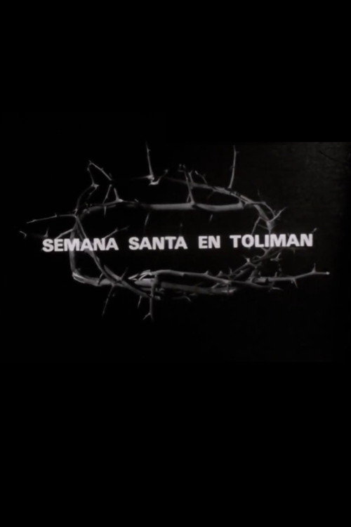 Semana Santa en Tolimán Poster