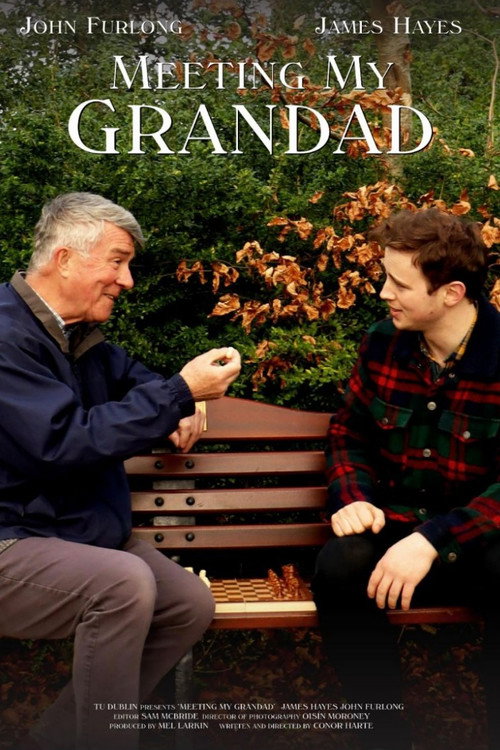 Meeting My Grandad Poster
