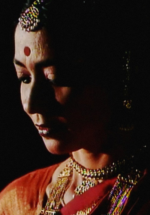 Sanchari Poster