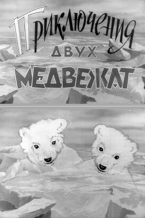 Adventures of Two Bear Cubs Poster